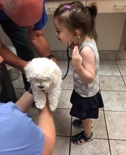 Deer Park Veterinary Hospital image 18