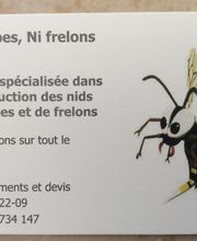 Ni Guepes Ni Frelons image 1