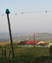 Trusted Craft Design Bild 12