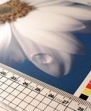 Copias Cosmar imagen 9