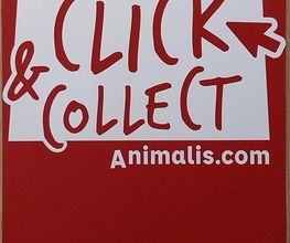 Animalis Pierrelaye image 8
