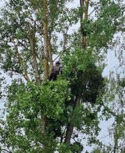 DFP Paysage image 19