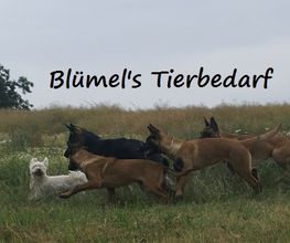 Blümels Tierbedarf Bild 1