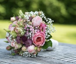 Blumen Kaimer Bild 1