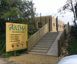Anima image 7