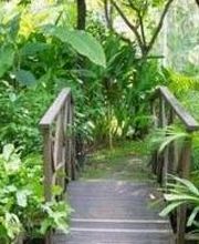 Larrus Jean-Michel image 8