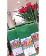 Holzwarth Apotheke Dorsten Bild 2