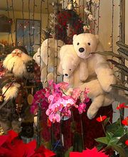 IMG_20151210_000947 (2).jpg