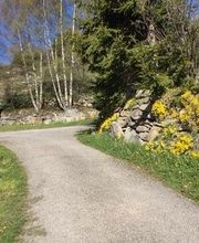 Camping Las Clotes image 13