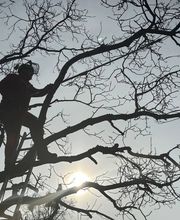 Christian Baumpflger