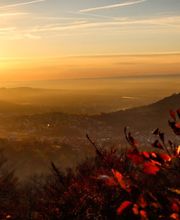 Bestattungen Werz & Sohn e.K. Bild 2