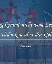 Bildungslektorat Bild 7