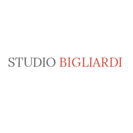 Agenzia Pratiche Auto Bigliardi logo
