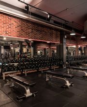 Fitness First Hildesheim - Hantel Training