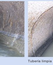 DESATASCOS SANECO imagen 3