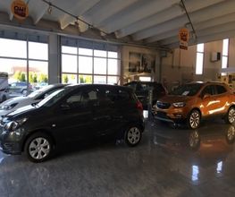 Gallery Cliente
