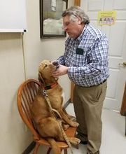 Wayne Heights Animal Hospital image 5