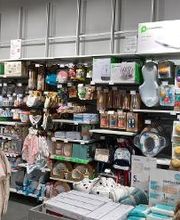 Orchestra ALENÇON image 19