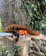 RUCHON ENVIRONNEMENT image 2