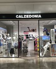 Calzedonia immagine 1
