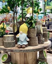 HORNBACH Gartencenter Leipzig - Alte Messe Bild 5