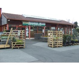 1025934-2.jpg
