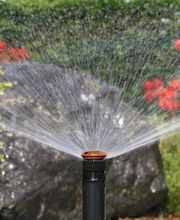 Vatter Garten AG Bild 3