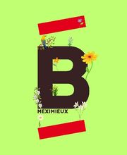 Bricomarché Meximieux image 2