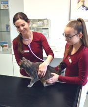 Tierarztpraxis Sieber Bild 6