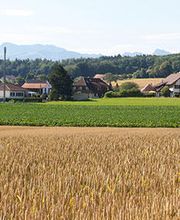 Gemeindeverwaltung Bild 8
