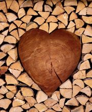 BaumProfis Seifert Bild 1