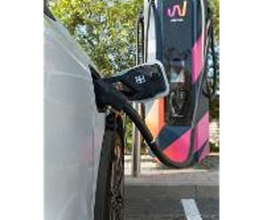 Wenea imagen 2
