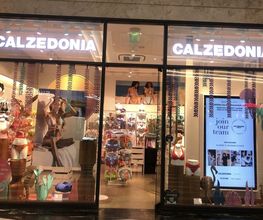 Calzedonia Bild 1