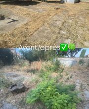 JPjardinier image 2