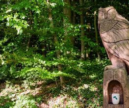 FriedWald Kalletal Bild 11