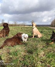 We like to Walk Bild 2