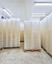 Frilotec imagen 3