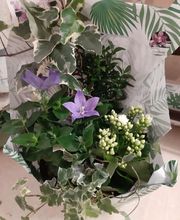 Jardin Des Loges image 6