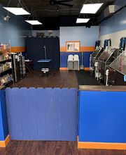 All Star Pet Care Grooming & Self Wash image 2