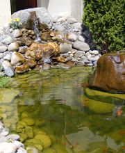 Thomas Gisi Gartenbau GmbH Bild 11