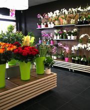 Carrément Fleurs - Fleuriste Clermont-Ferrand 63 - Livraison de fleurs à domicile image 6