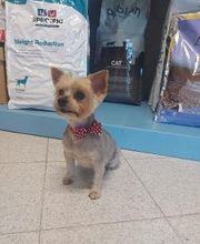 Clínica Veterinaria Huellas imagen 8