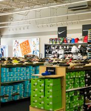 Wide Shot of Interior of Store