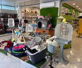 Gallery Cliente
