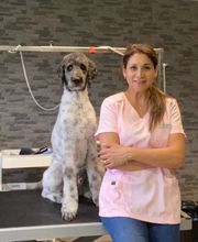 Patty's Hundesalon Bild 5