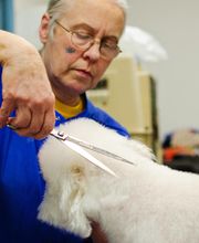 Ridgeview Animal Hospital image 3