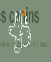 Arcs Canins image 1