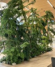 JOOS FLORISTIK UND INNENBEGRÜNUNG Bild 8