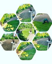 Gartenservice Mark Miess Bild 11