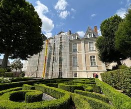 Lapidis image 6